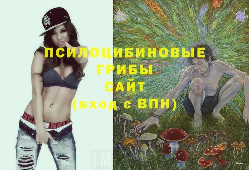 кракен маркетплейс  Белорецк  Галлюциногенные грибы Psilocybe 